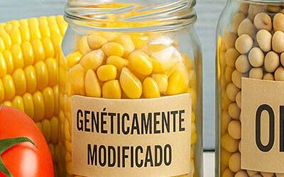 Transgénicos en la restauración: ¿debo preocuparme como hostelero?