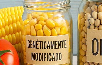 Transgénicos en la restauración: ¿debo preocuparme como hostelero?