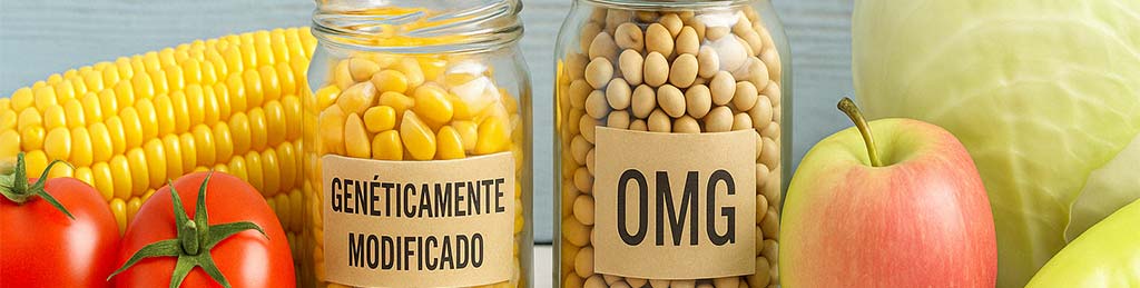 alimentos-transgenicos-en-la-hosteleria